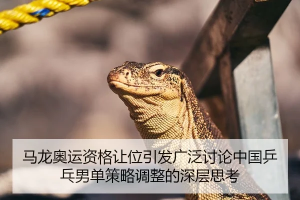马龙奥运资格让位引发广泛讨论中国乒乓男单策略调整的深层思考（Kaiyun Sports）