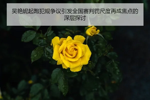 吴艳妮起跑犯规争议引发全国赛判罚尺度再成焦点的深层探讨（Kaiyun Sports）