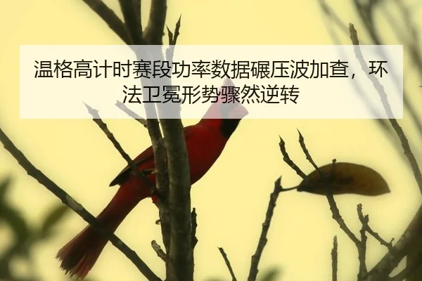 wen-ge-gao-ji-shi-sai-duan-gong-lv-shu-ju-nian-ya-bo-jia-cha-huan-fa-wei-mian-xing-shi-zhou-ran-ni-zhuan-3-306.jpg