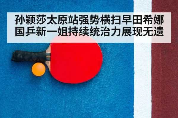 table tennis racket