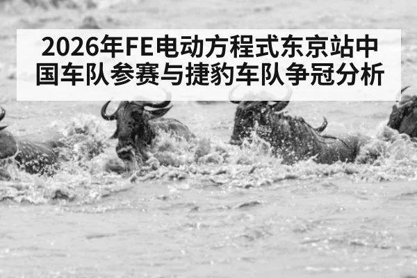 2026年FE电动方程式东京站中国车队参赛与捷豹车队争冠分析